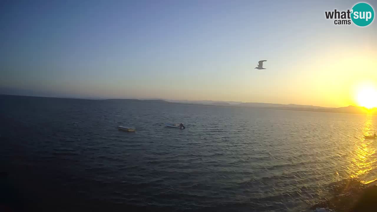 Windsurfing Club Sa Barra Live Webcam Sant’Antioco – Sardegna