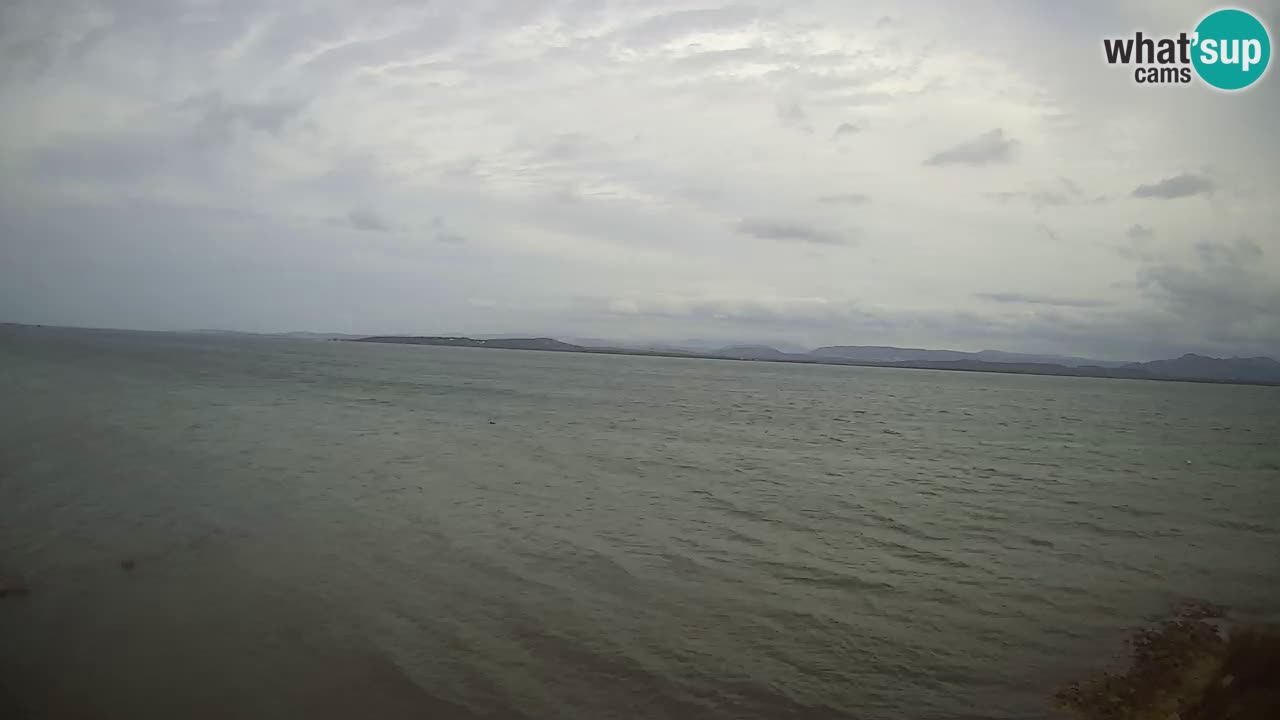 Windsurfing Club Sa Barra Live Webcam Sant’Antioco – Sardinia – Italy