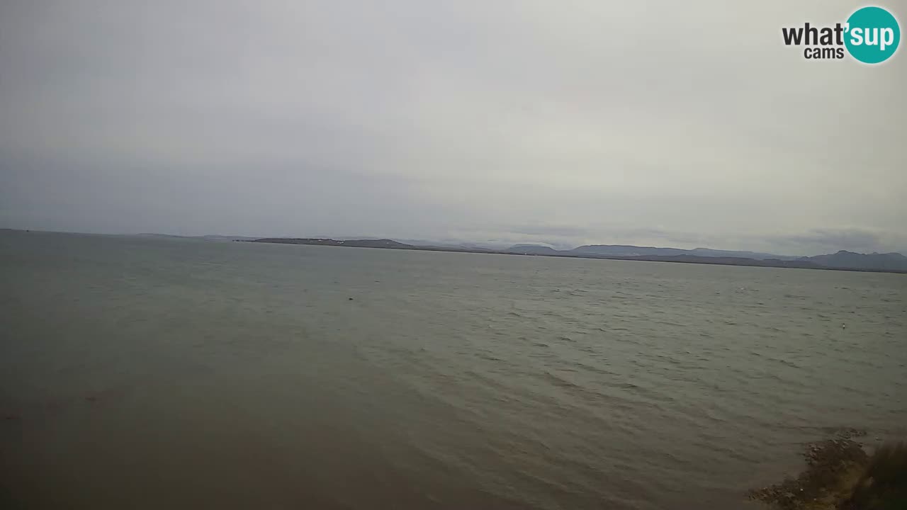 Windsurfing Club Sa Barra camera en vivo Sant’Antioco – Cerdeña – Italia