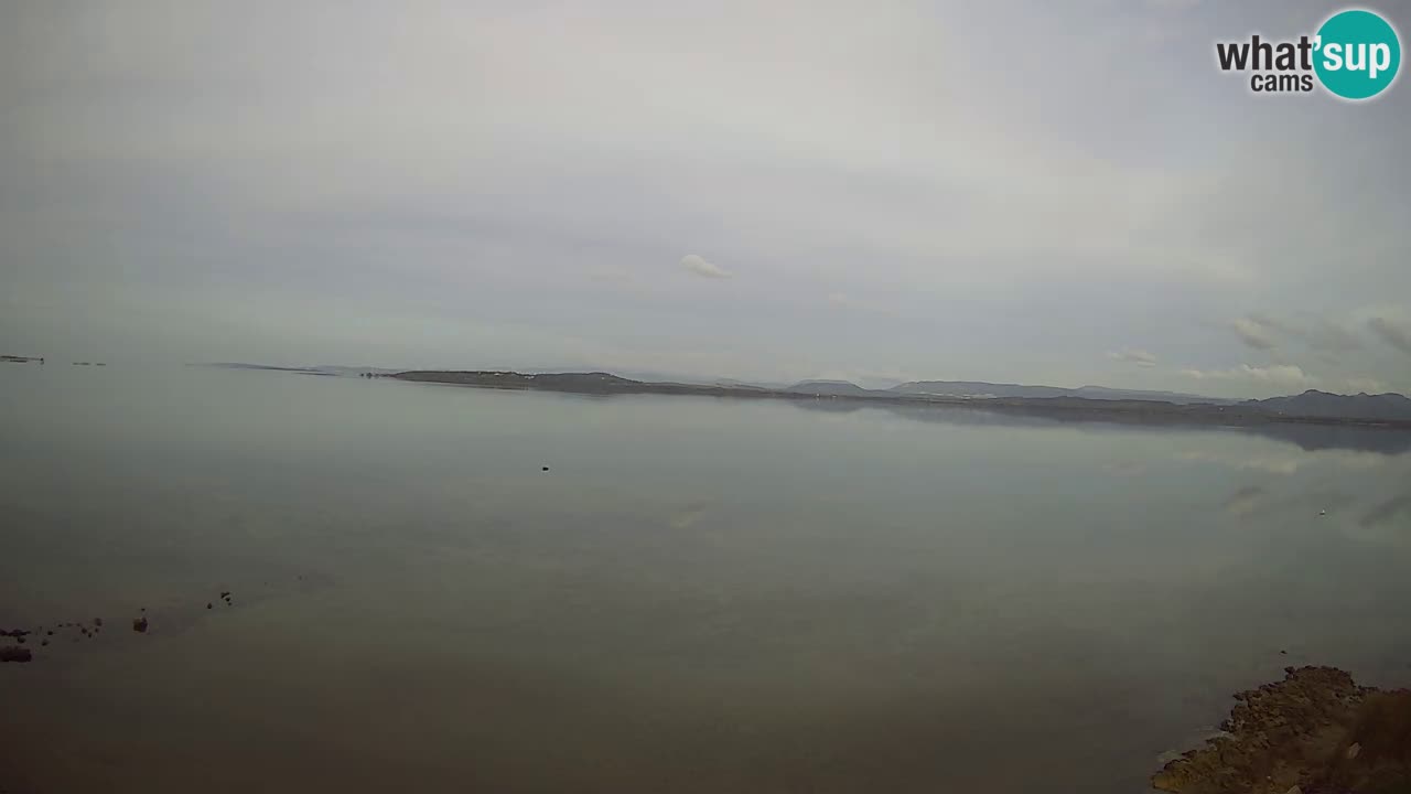 Windsurfing Club Sa Barra Live Webcam Sant’Antioco – Sardegna