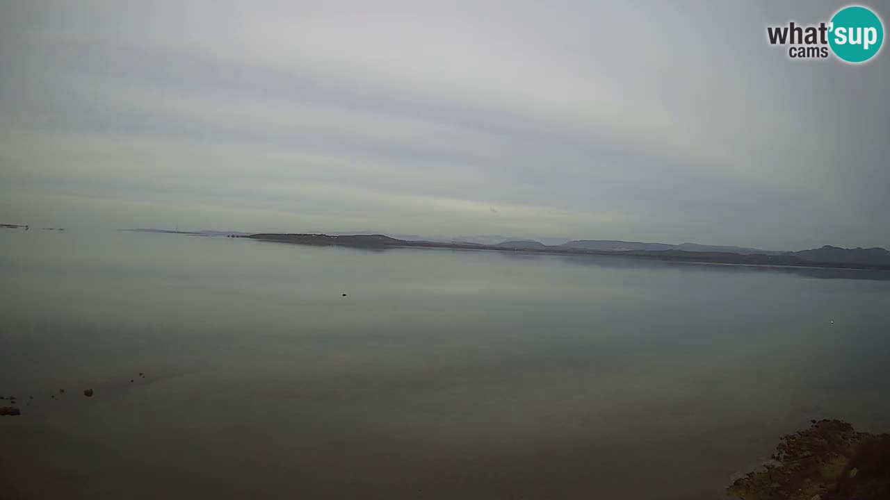Windsurfing Club Sa Barra Live Webcam Sant’Antioco – Sardegna