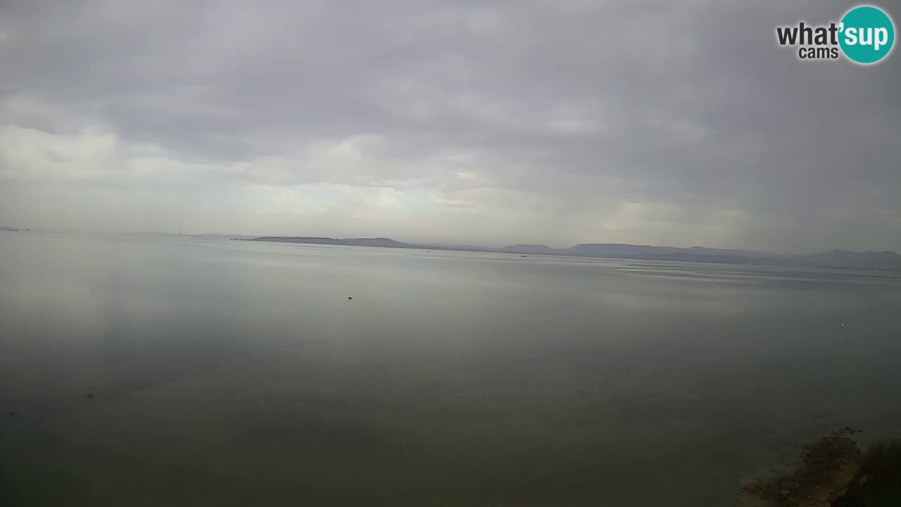 Windsurfing Club Sa Barra Live Webcam Sant’Antioco – Sardinia – Italy