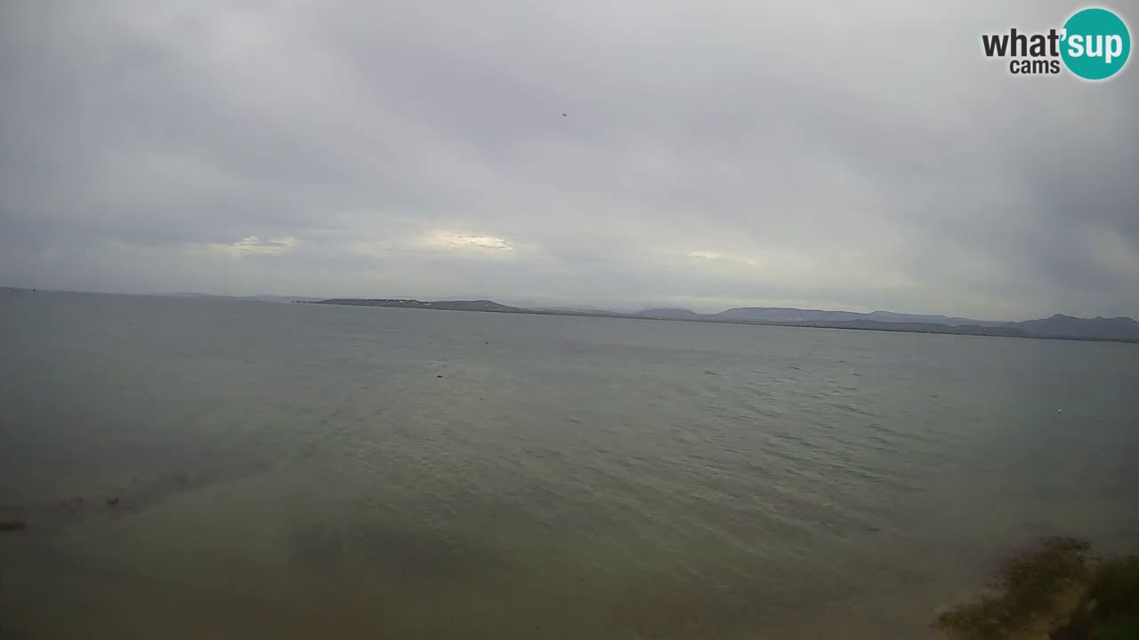 Windsurfing Club Sa Barra Live Webcam Sant’Antioco – Sardinia – Italy