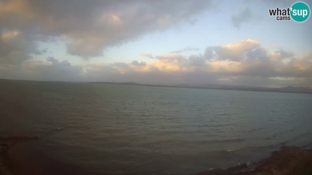 Windsurfing Club Sa Barra Live Webcam Sant’Antioco – Sardegna