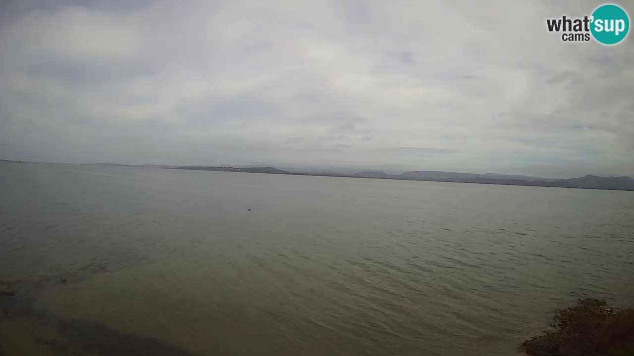 Windsurfing Club Sa Barra spletna kamera Sant’Antioco – Sardinija – Italija