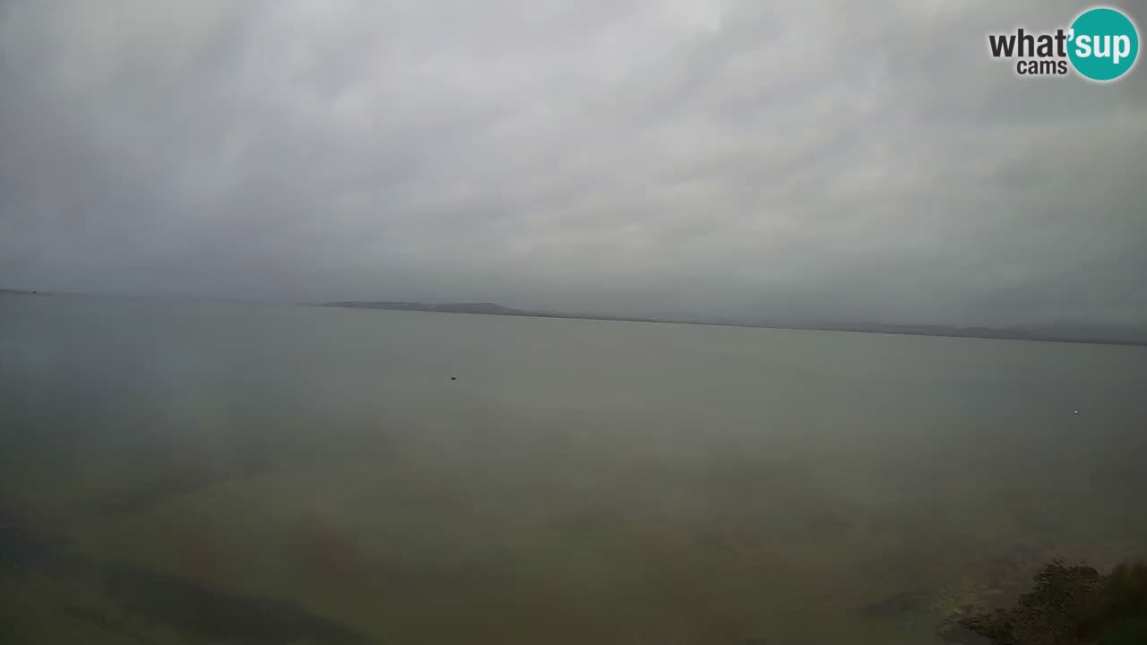 Windsurfing Club Sa Barra livecam Sant’Antioco – Sardaigne – Italie