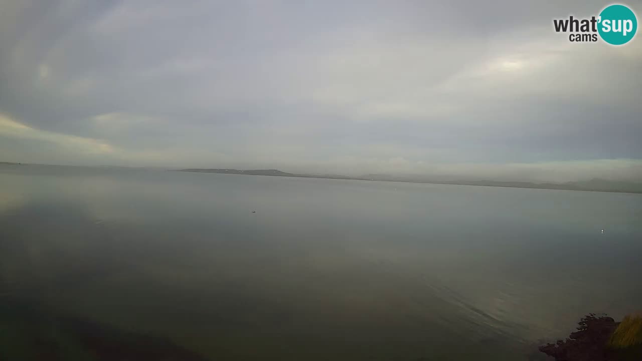 Windsurfing Club Sa Barra camera en vivo Sant’Antioco – Cerdeña – Italia