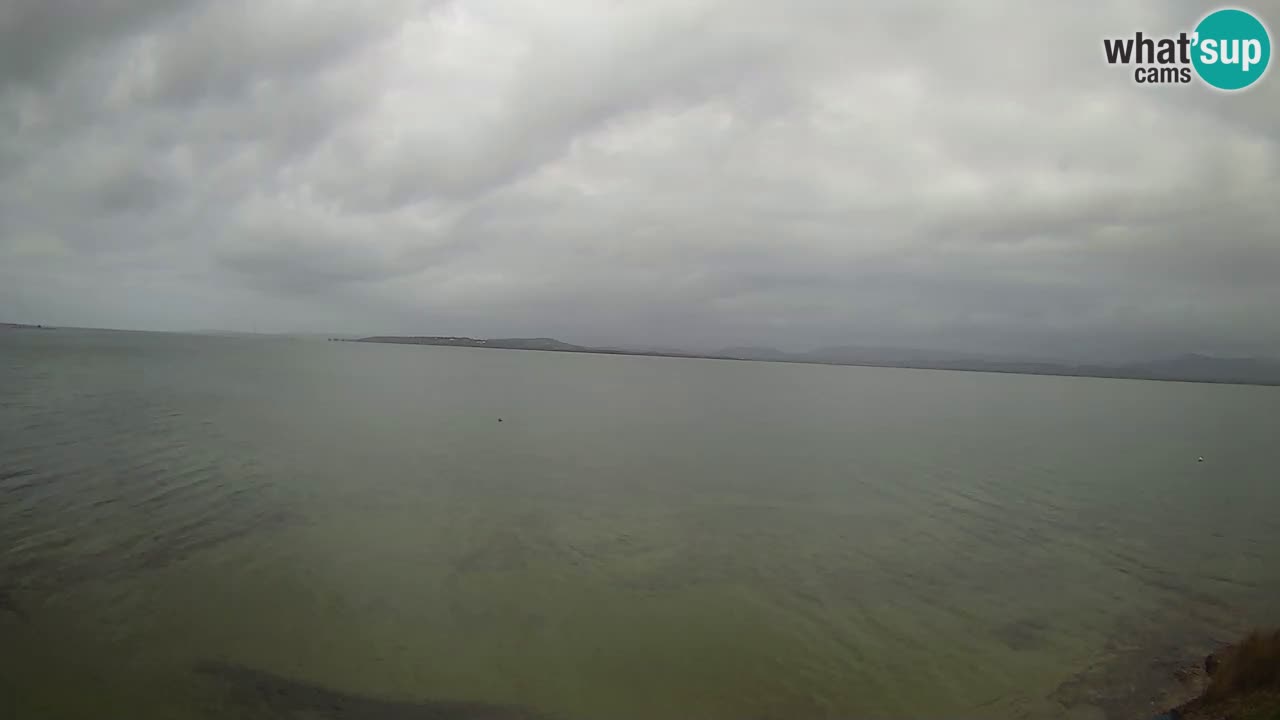 Windsurfing Club Sa Barra web kamera Sant’Antioco – Sardinija – Italija