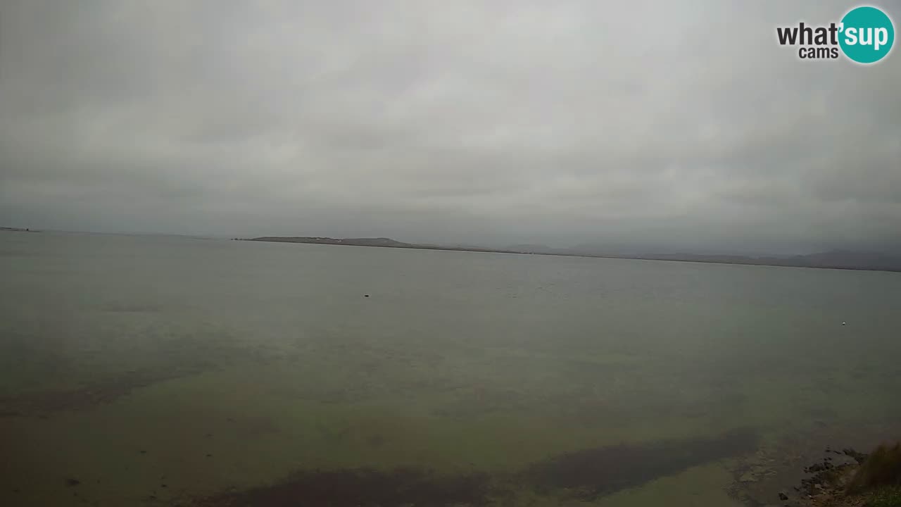 Windsurfing Club Sa Barra livecam Sant’Antioco – Sardaigne – Italie