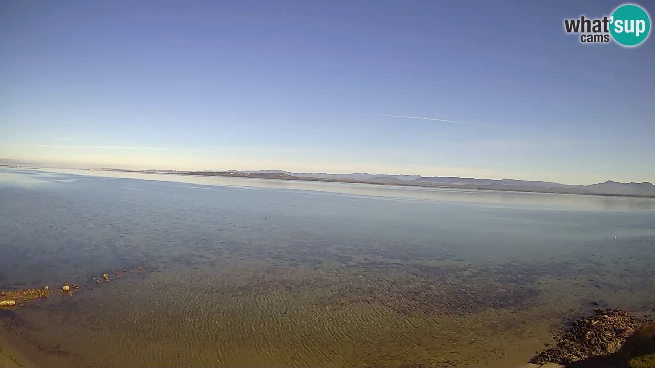 Windsurfing Club Sa Barra Live Webcam Sant’Antioco – Sardegna