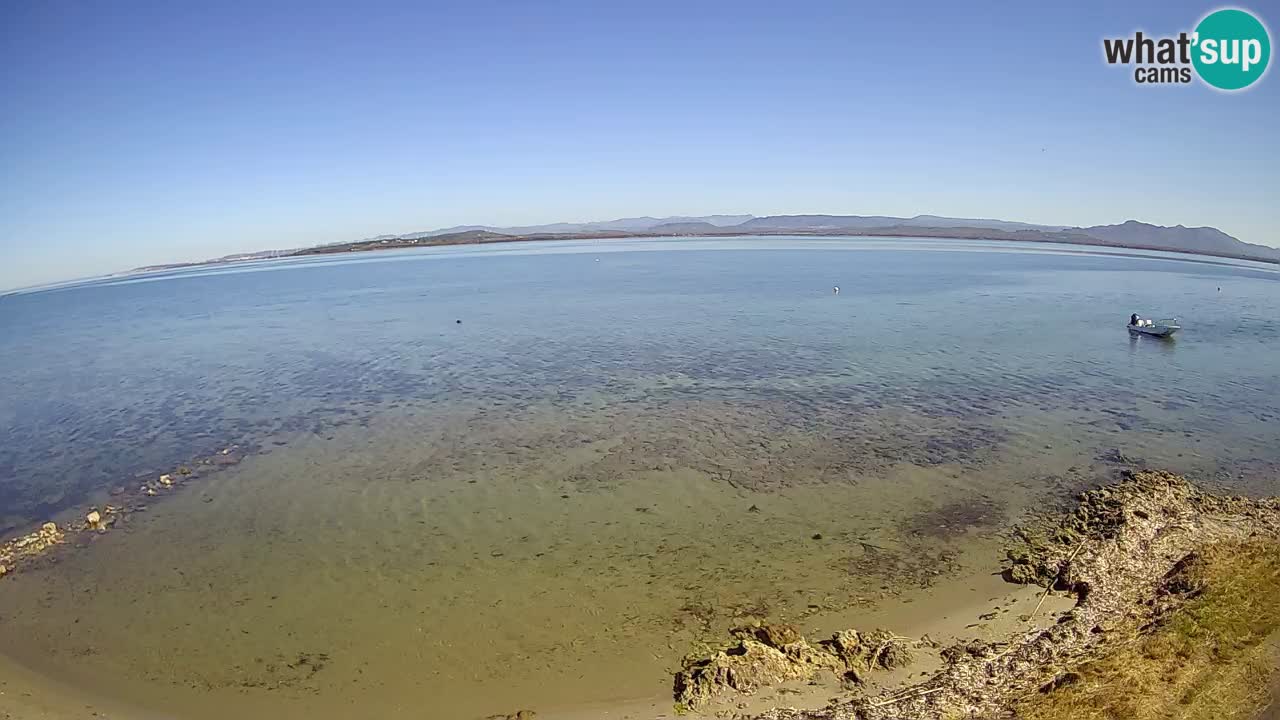 Windsurfing Club Sa Barra livecam Sant’Antioco – Sardaigne – Italie