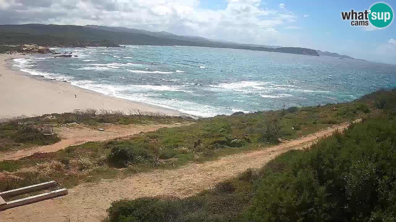Spiaggia La Liccia webcam Rena Majore – Santa Teresa Gallura livecam Sardegna