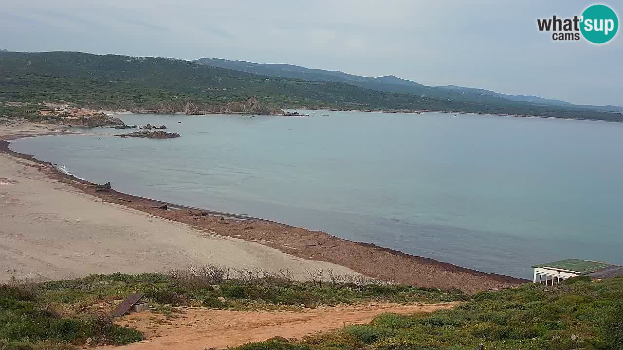 La Liccia beach webcam Rena Majore – Santa Teresa Gallura livecam Sardinia