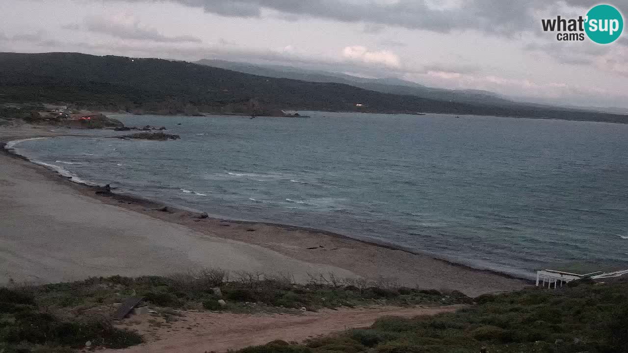 Plaža La Liccia u živo Rena Majore – Santa Teresa Gallura web kamera Sardinija