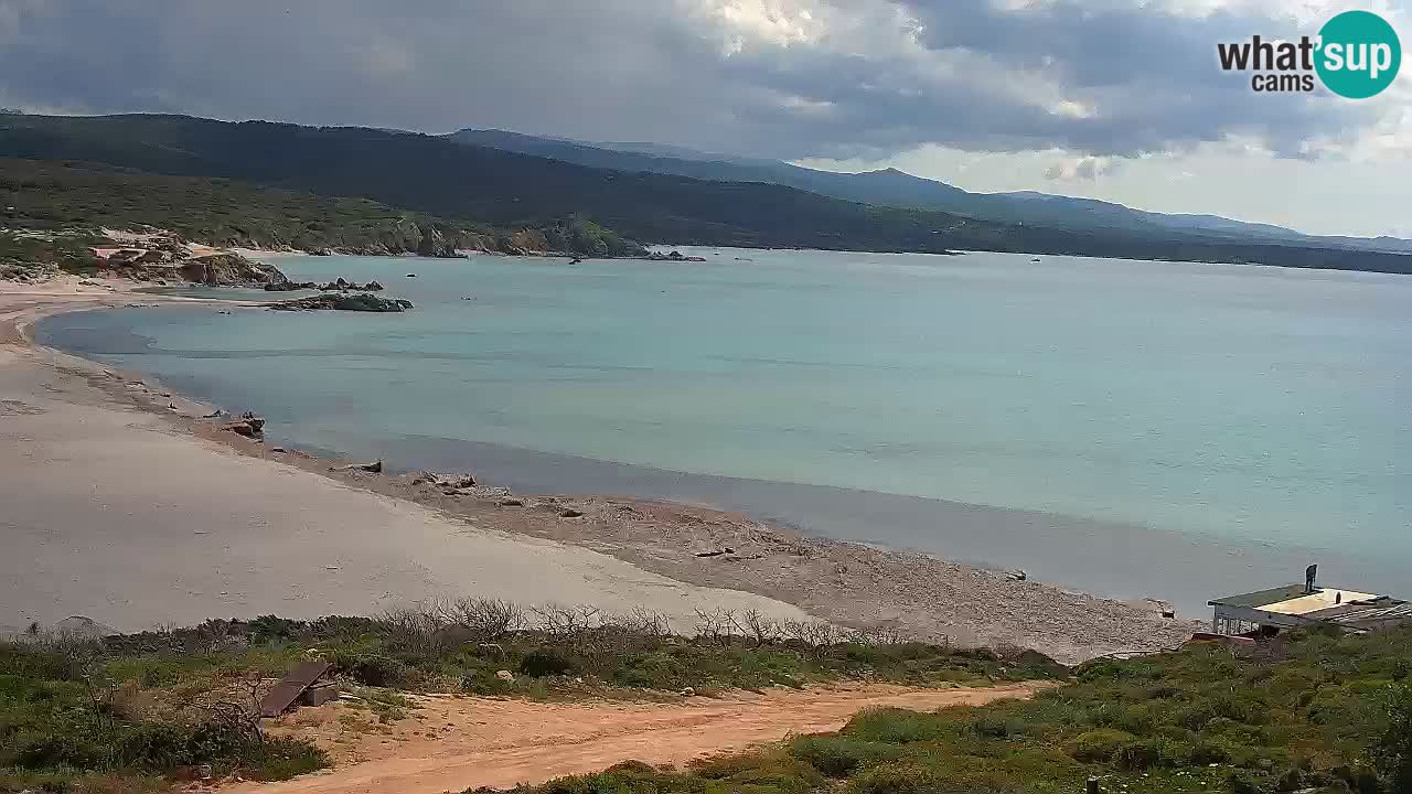 Plaža La Liccia v živo Rena Majore – Santa Teresa Gallura spletna kamera Sardinija
