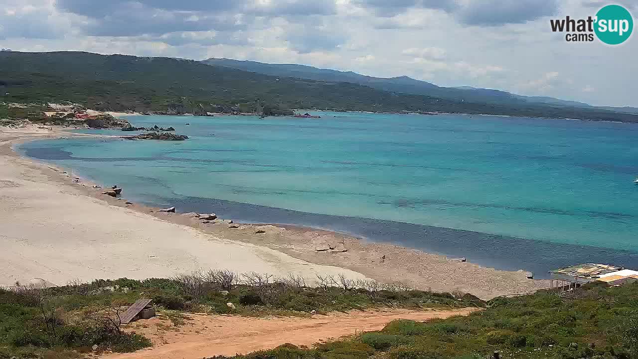 Plaža La Liccia v živo Rena Majore – Santa Teresa Gallura spletna kamera Sardinija