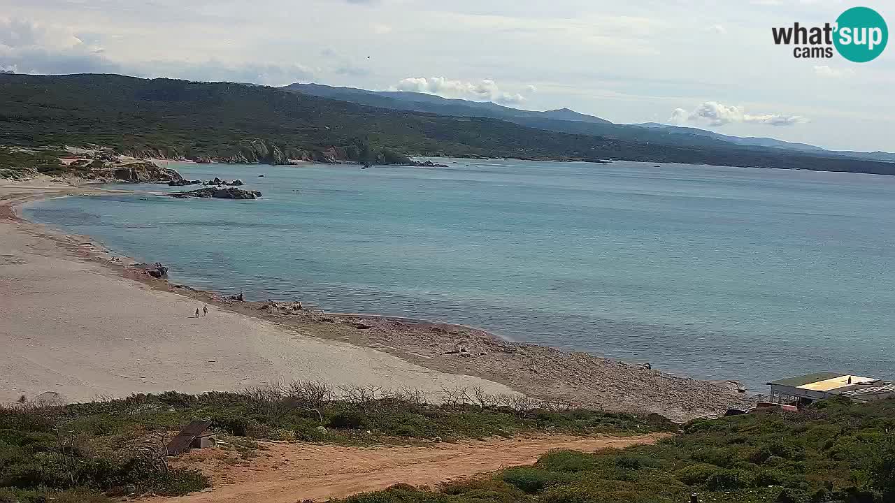 Spiaggia La Liccia webcam Rena Majore – Santa Teresa Gallura livecam Sardegna