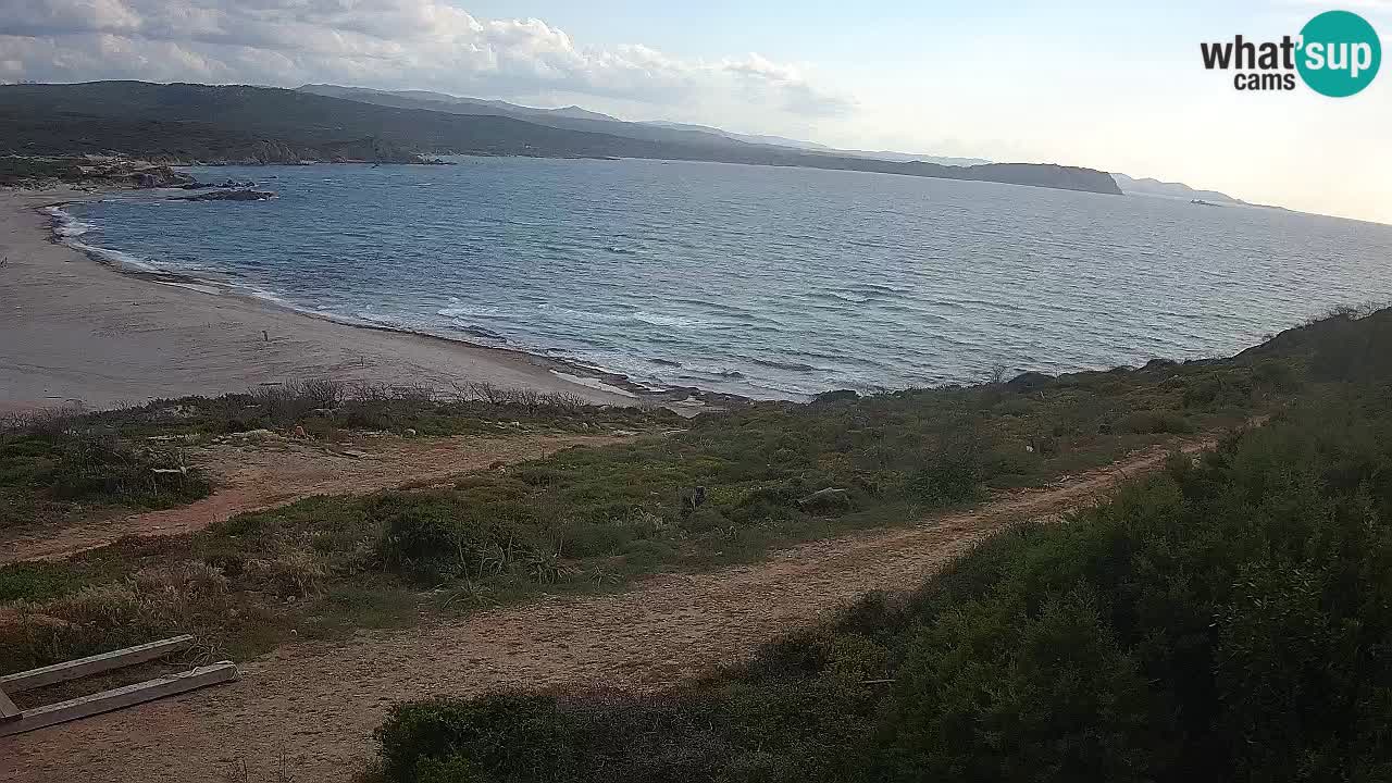 La Liccia beach webcam Rena Majore – Santa Teresa Gallura livecam Sardinia