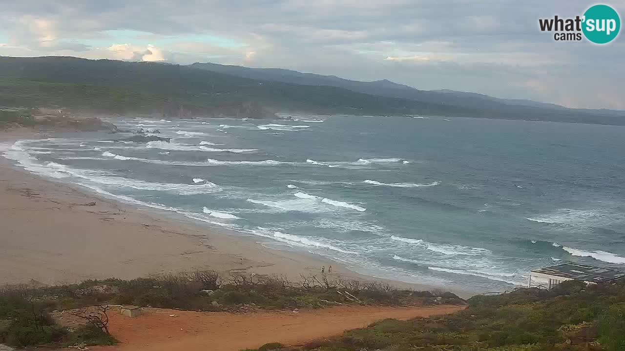 Plaža La Liccia v živo Rena Majore – Santa Teresa Gallura spletna kamera Sardinija