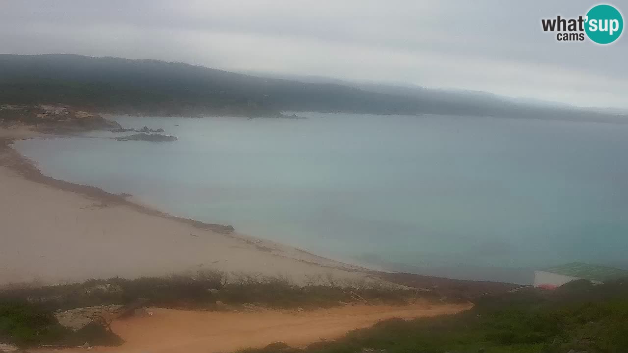 Plaža La Liccia u živo Rena Majore – Santa Teresa Gallura web kamera Sardinija