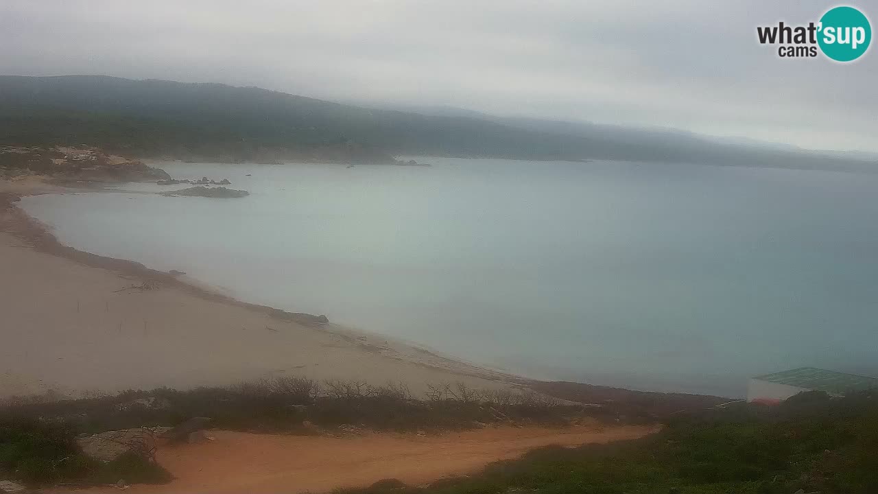 Plaža La Liccia v živo Rena Majore – Santa Teresa Gallura spletna kamera Sardinija