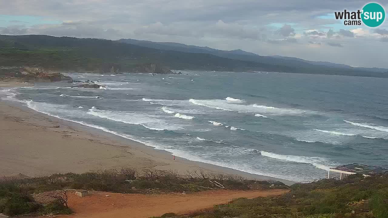 Plaža La Liccia v živo Rena Majore – Santa Teresa Gallura spletna kamera Sardinija