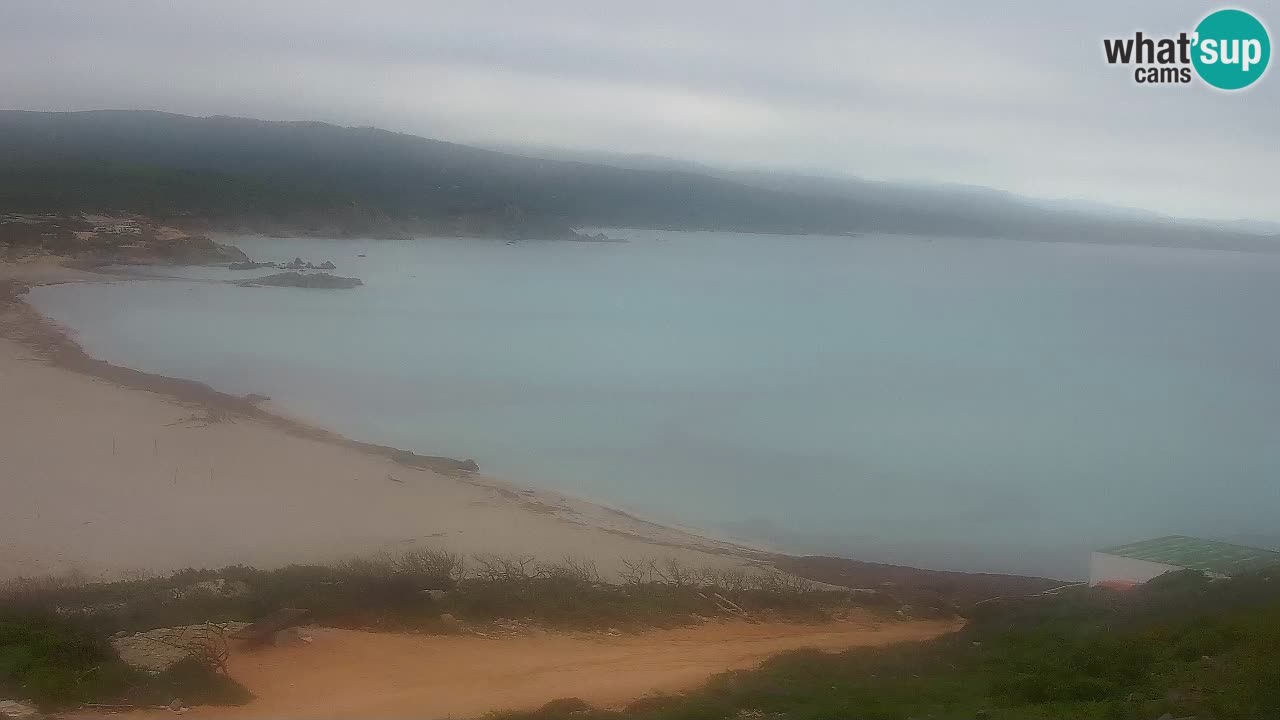 Plaža La Liccia u živo Rena Majore – Santa Teresa Gallura web kamera Sardinija