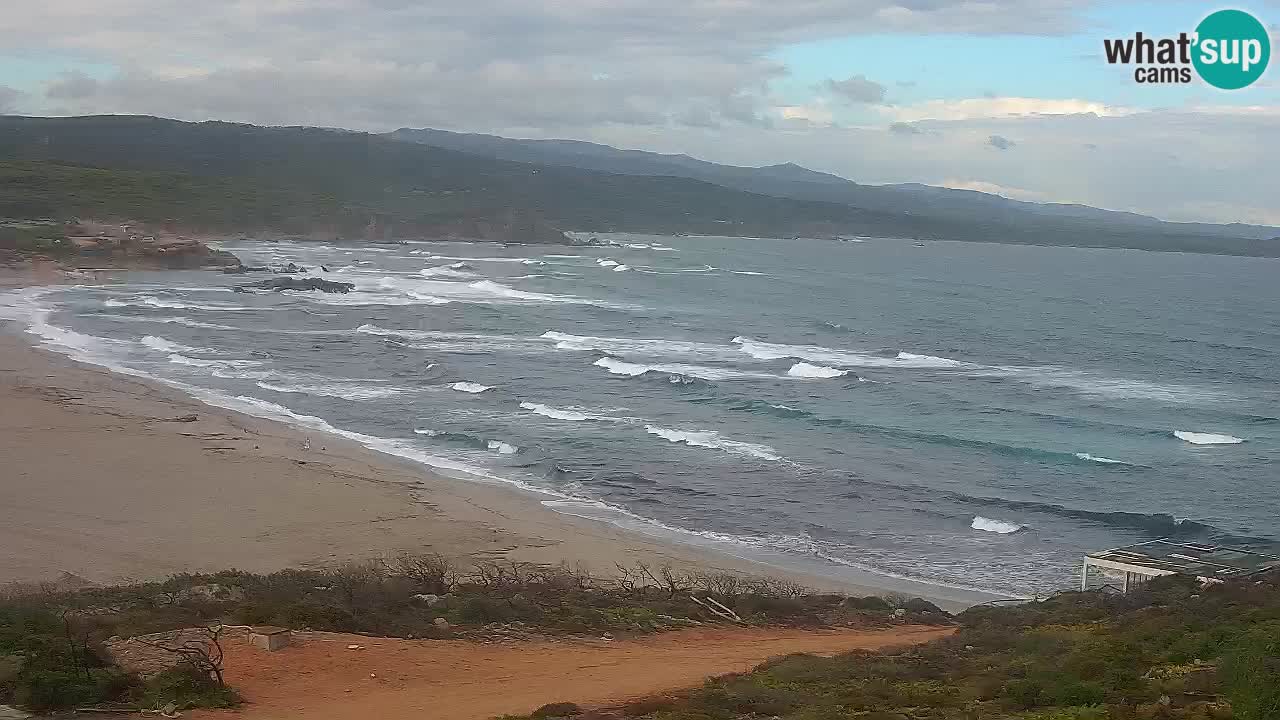 La Liccia playa webcam Rena Majore – Santa Teresa Gallura en vivo Cerdeña