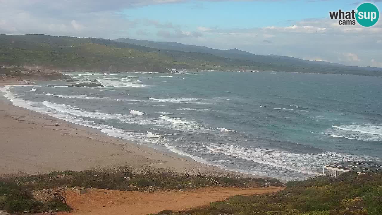 Plaža La Liccia v živo Rena Majore – Santa Teresa Gallura spletna kamera Sardinija