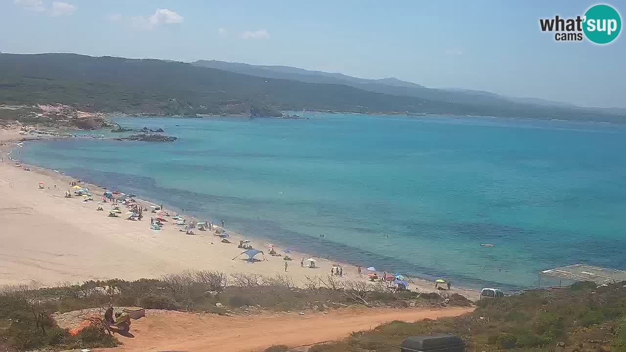 Plaža La Liccia v živo Rena Majore – Santa Teresa Gallura spletna kamera Sardinija