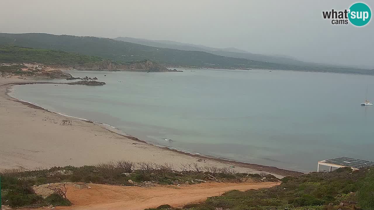 Spiaggia La Liccia webcam Rena Majore – Santa Teresa Gallura livecam Sardegna