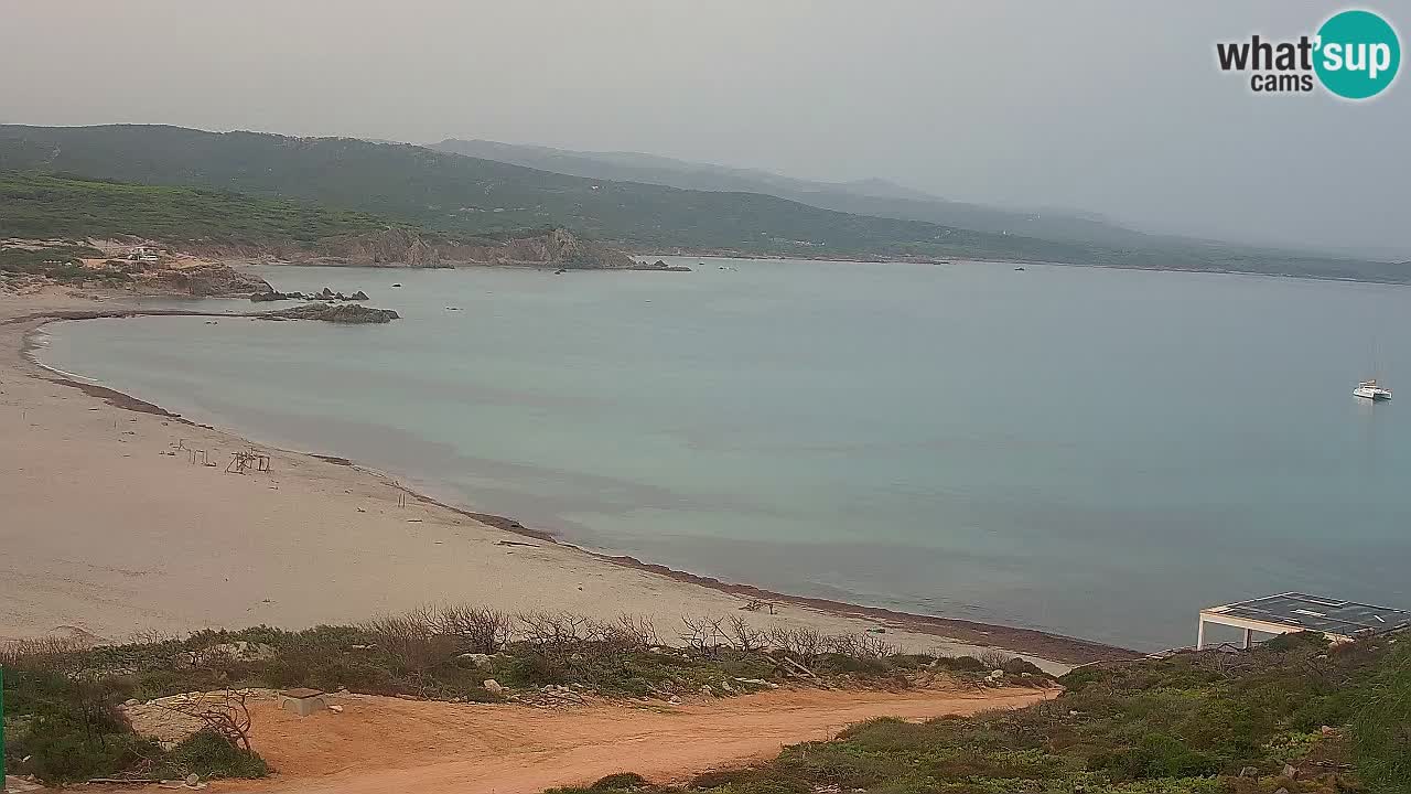 Plaža La Liccia v živo Rena Majore – Santa Teresa Gallura spletna kamera Sardinija