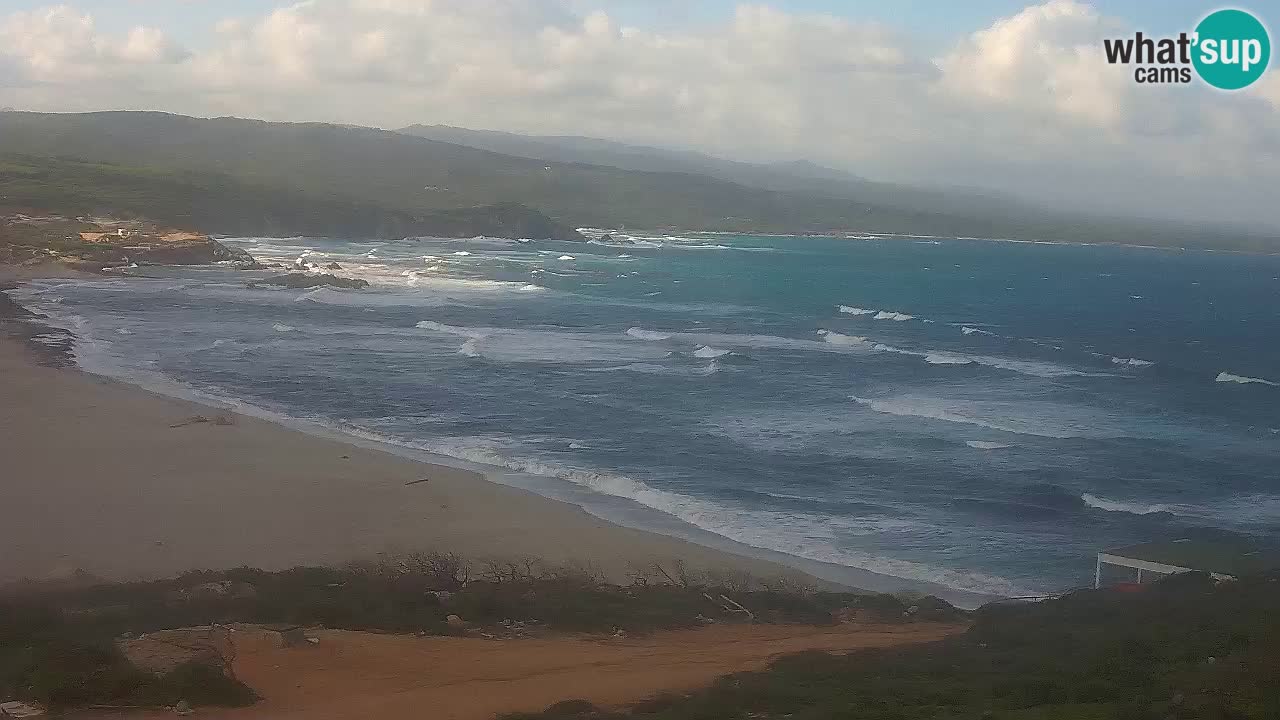 Plaža La Liccia v živo Rena Majore – Santa Teresa Gallura spletna kamera Sardinija