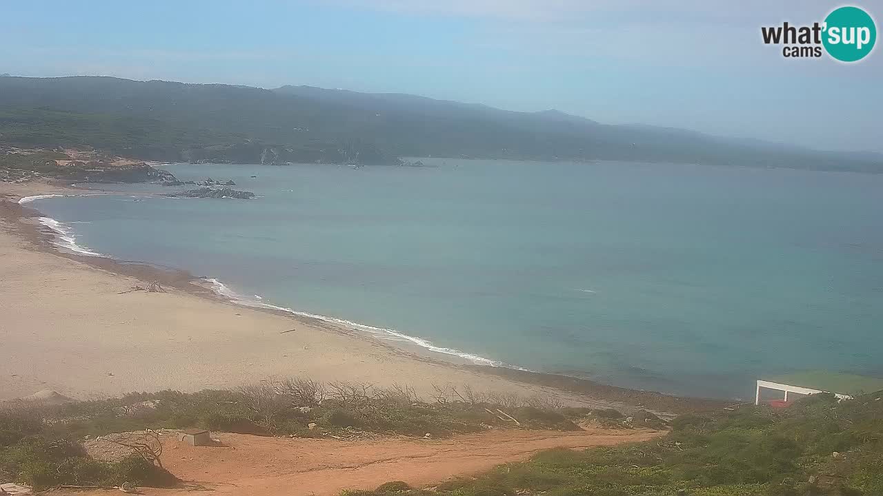 Spiaggia La Liccia webcam Rena Majore – Santa Teresa Gallura livecam Sardegna