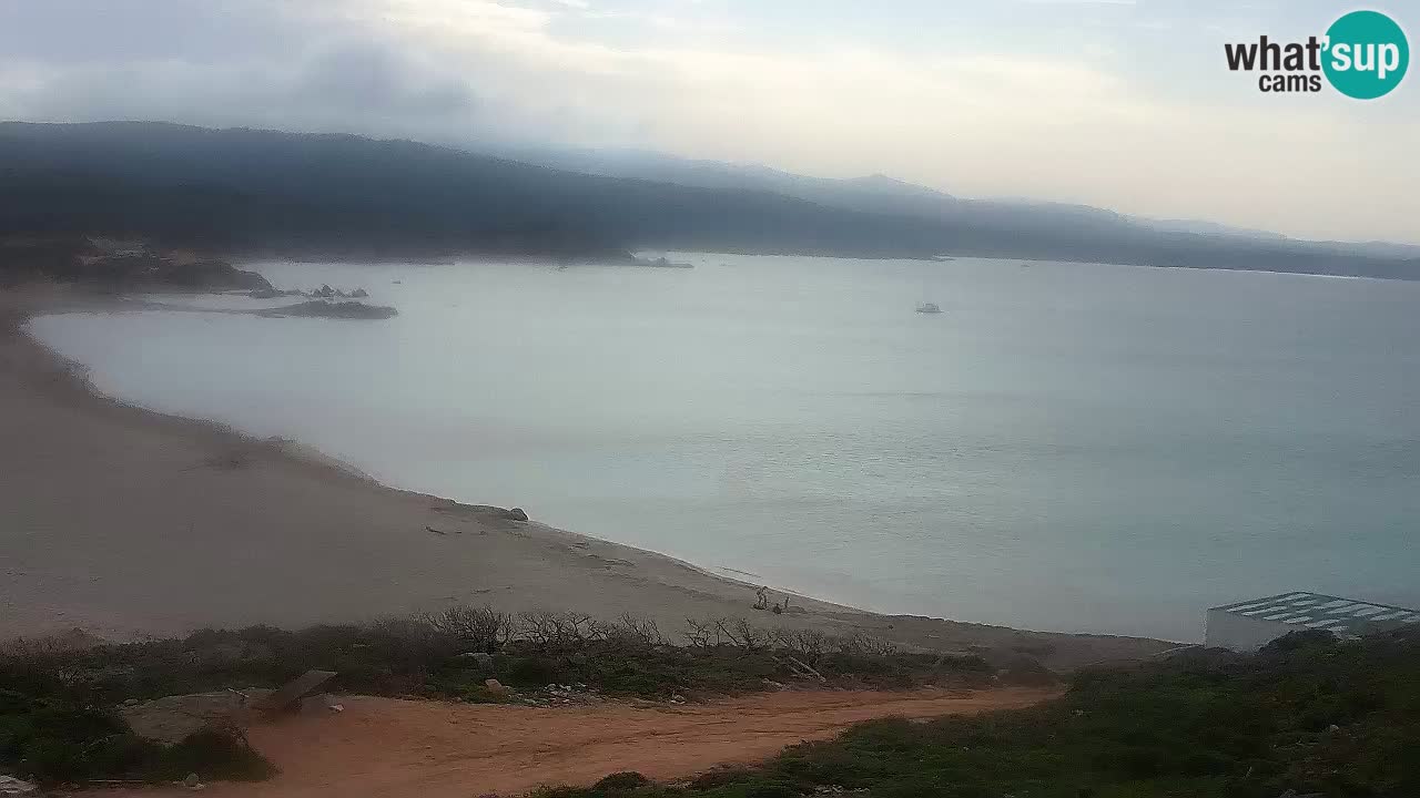 Plaža La Liccia v živo Rena Majore – Santa Teresa Gallura spletna kamera Sardinija