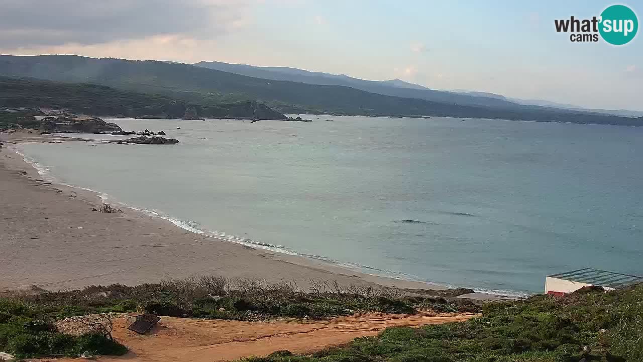 Spiaggia La Liccia webcam Rena Majore – Santa Teresa Gallura livecam Sardegna