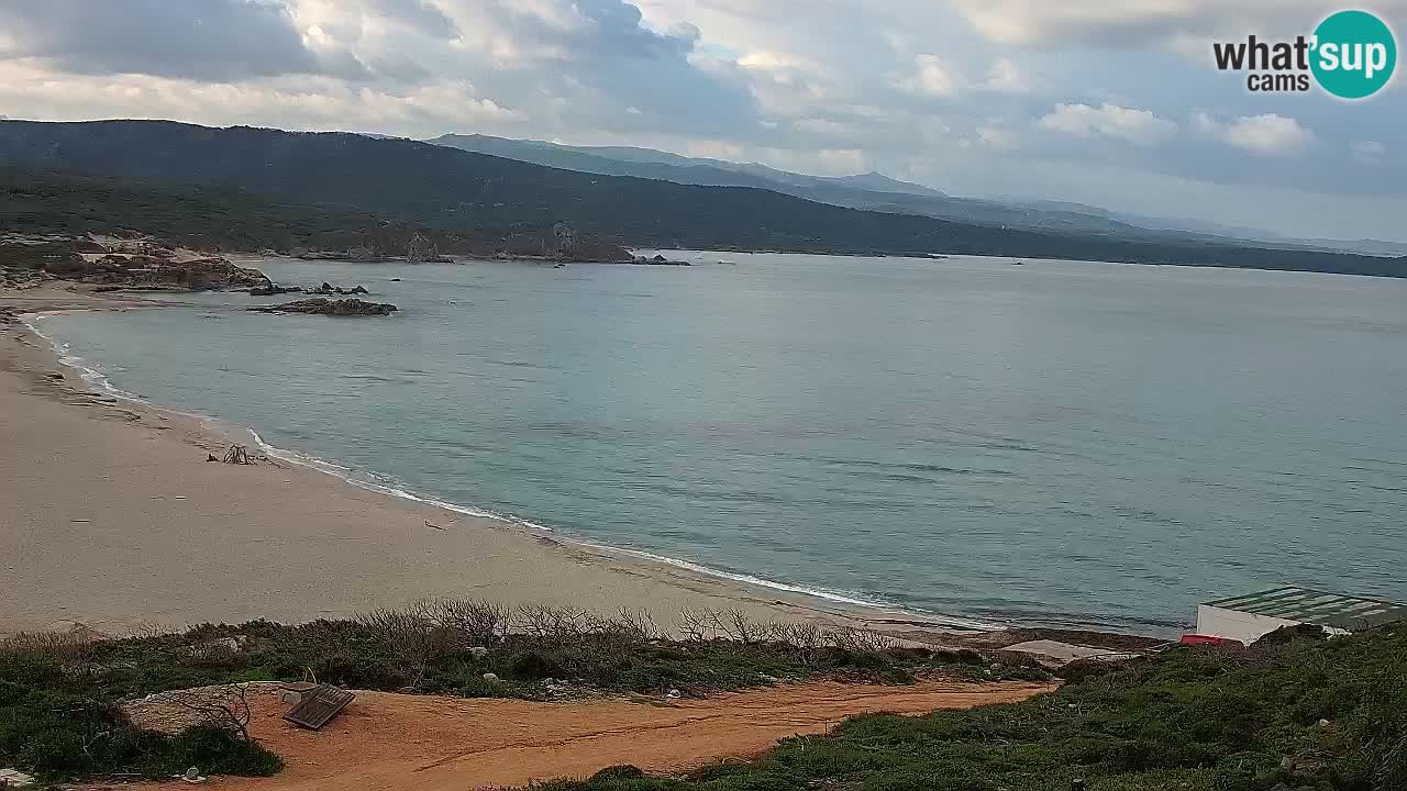 Plaža La Liccia v živo Rena Majore – Santa Teresa Gallura spletna kamera Sardinija