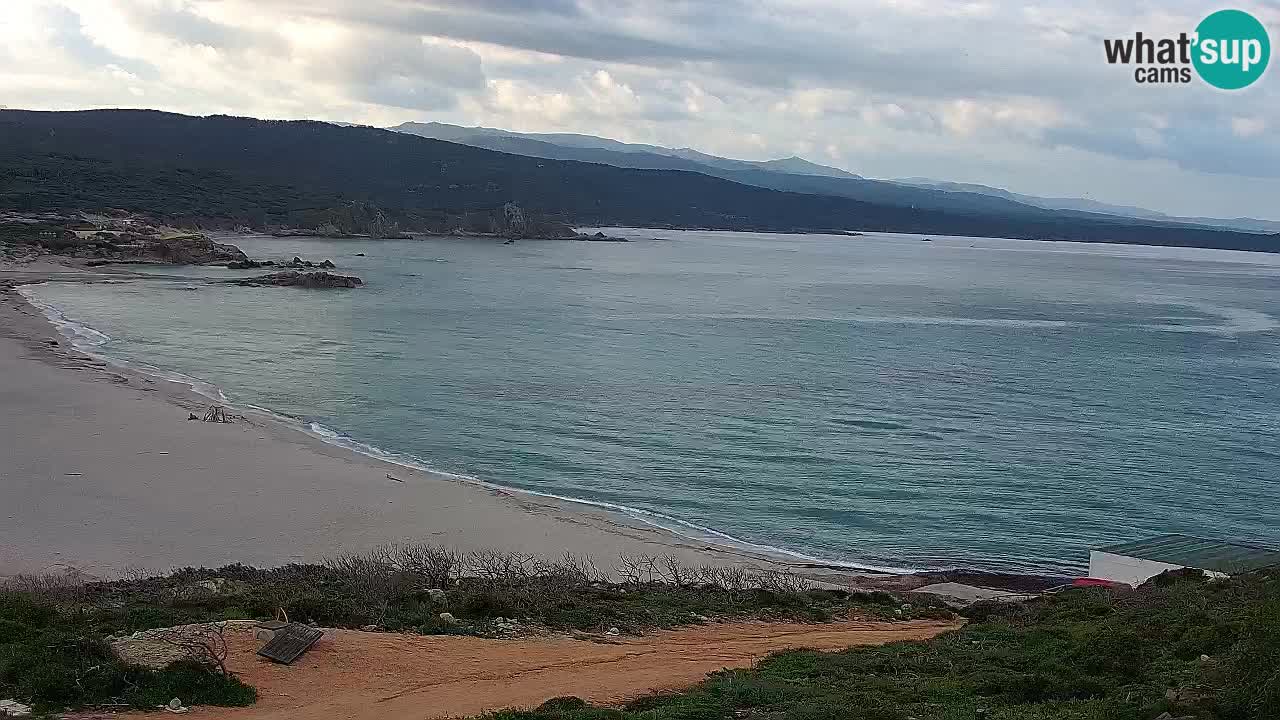 Spiaggia La Liccia webcam Rena Majore – Santa Teresa Gallura livecam Sardegna