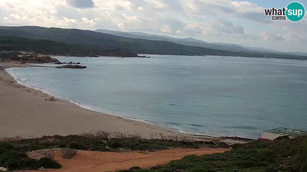 Plaža La Liccia v živo Rena Majore – Santa Teresa Gallura spletna kamera Sardinija