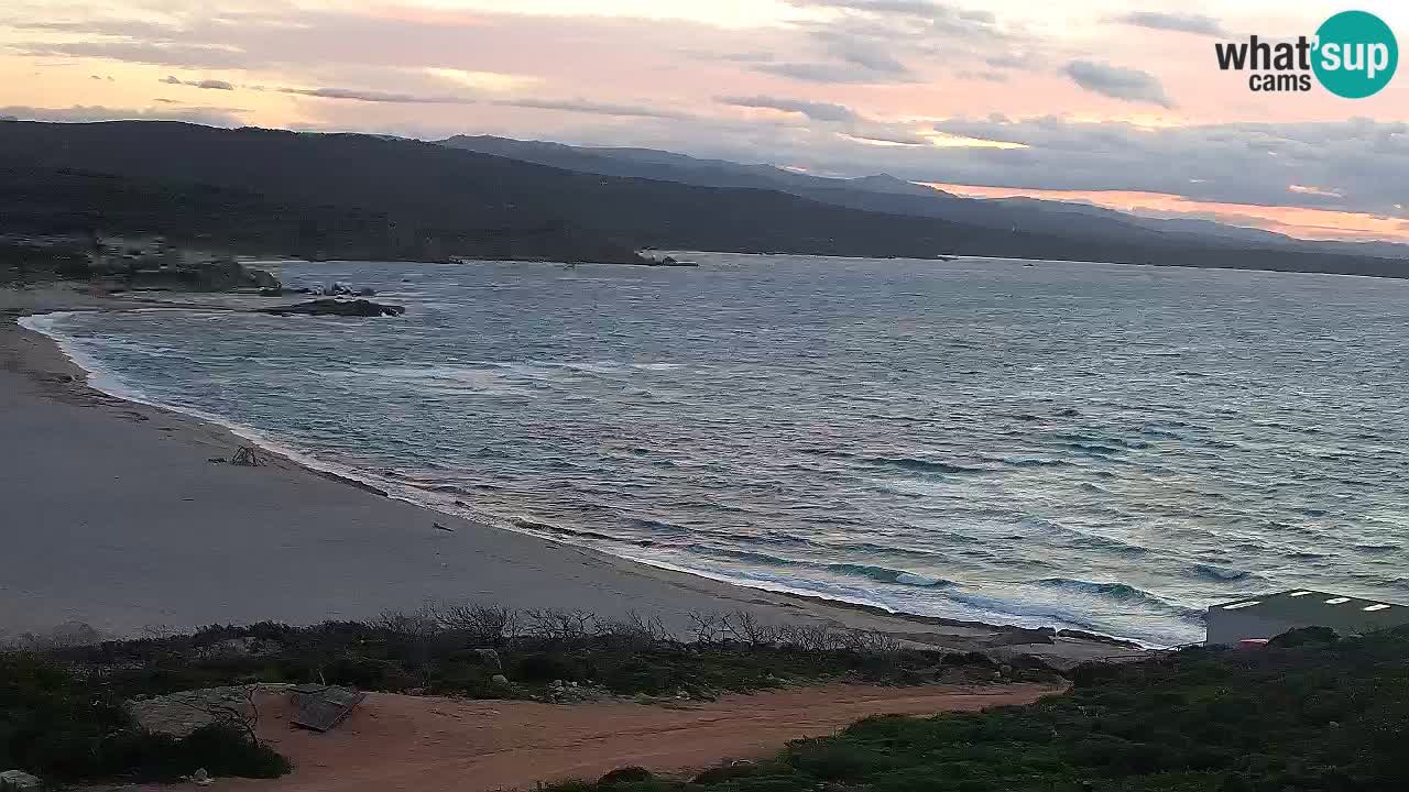 Plaža La Liccia v živo Rena Majore – Santa Teresa Gallura spletna kamera Sardinija