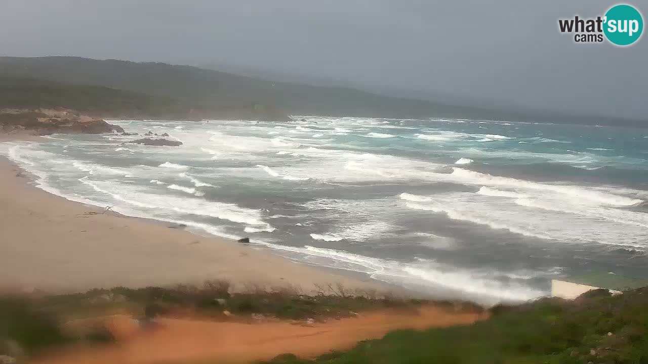 Plaža La Liccia v živo Rena Majore – Santa Teresa Gallura spletna kamera Sardinija