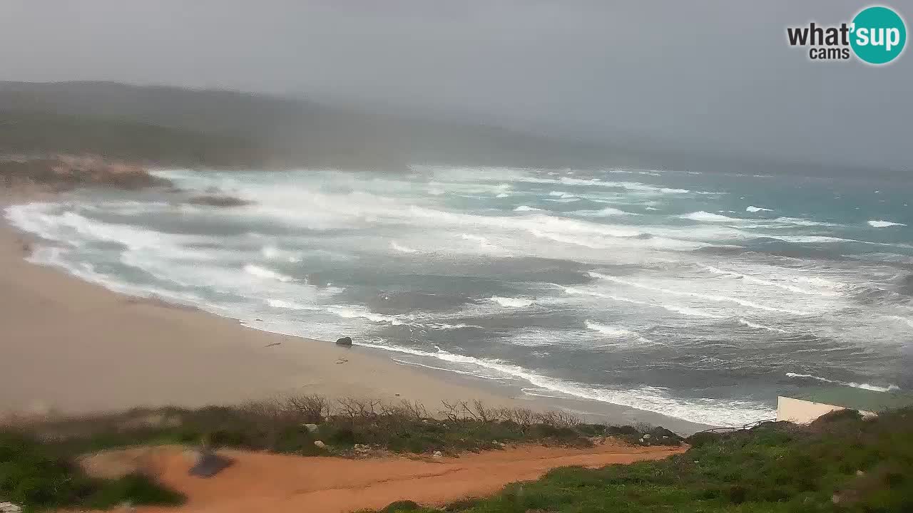 Plaža La Liccia u živo Rena Majore – Santa Teresa Gallura web kamera Sardinija