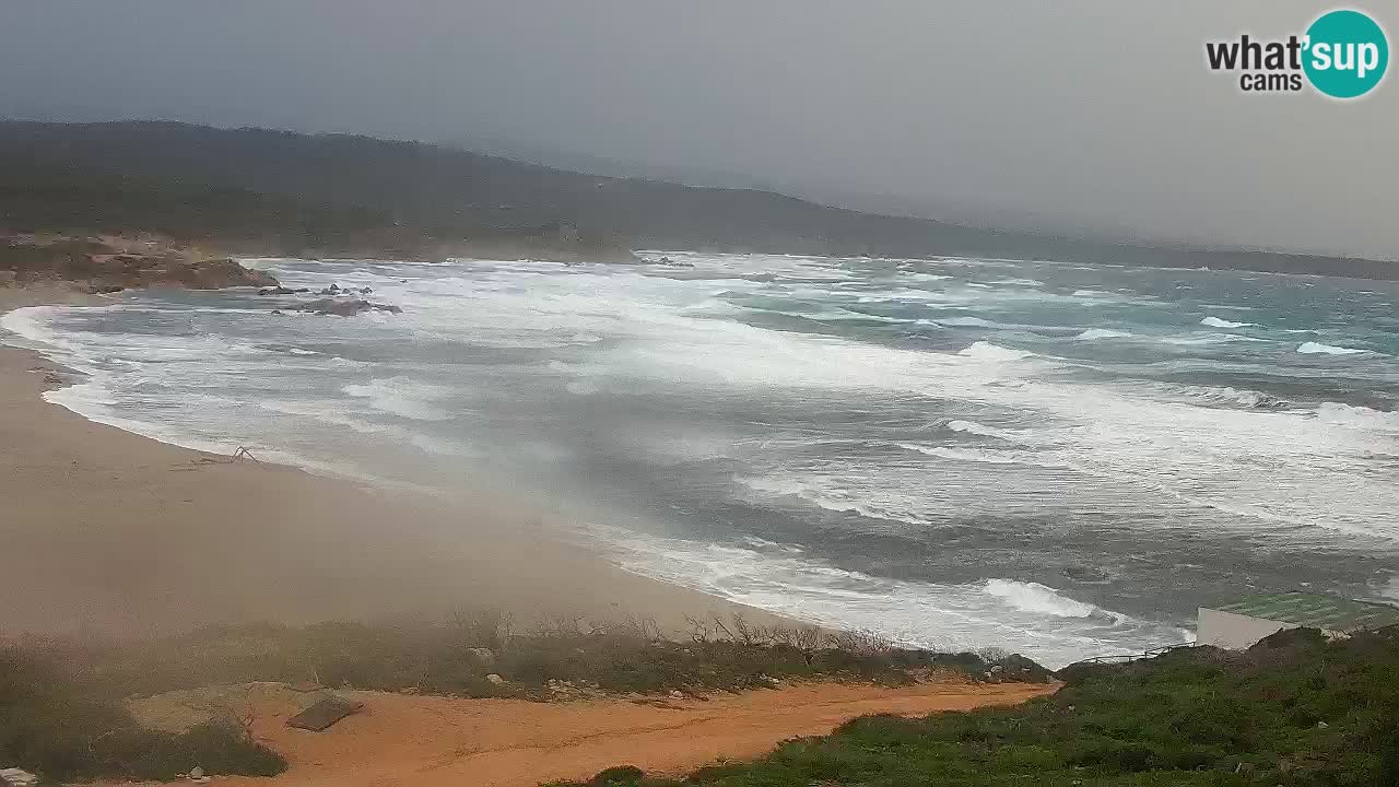 Plaža La Liccia u živo Rena Majore – Santa Teresa Gallura web kamera Sardinija