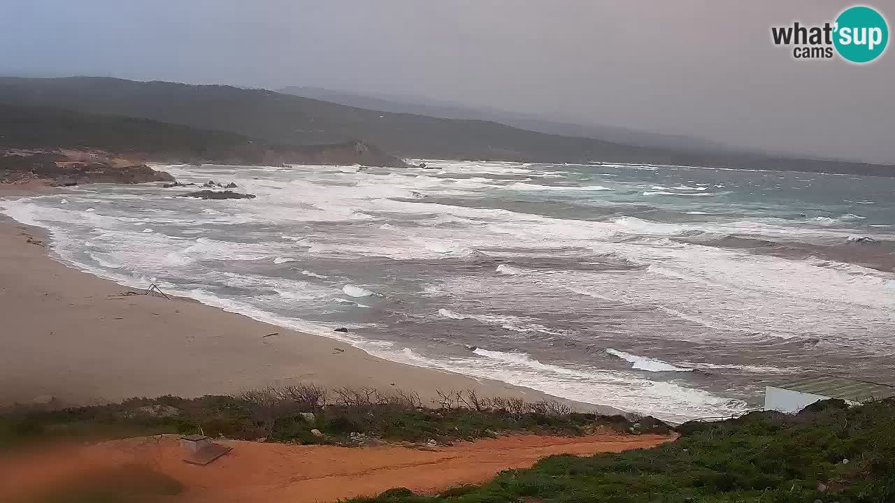 La Liccia playa webcam Rena Majore – Santa Teresa Gallura en vivo Cerdeña