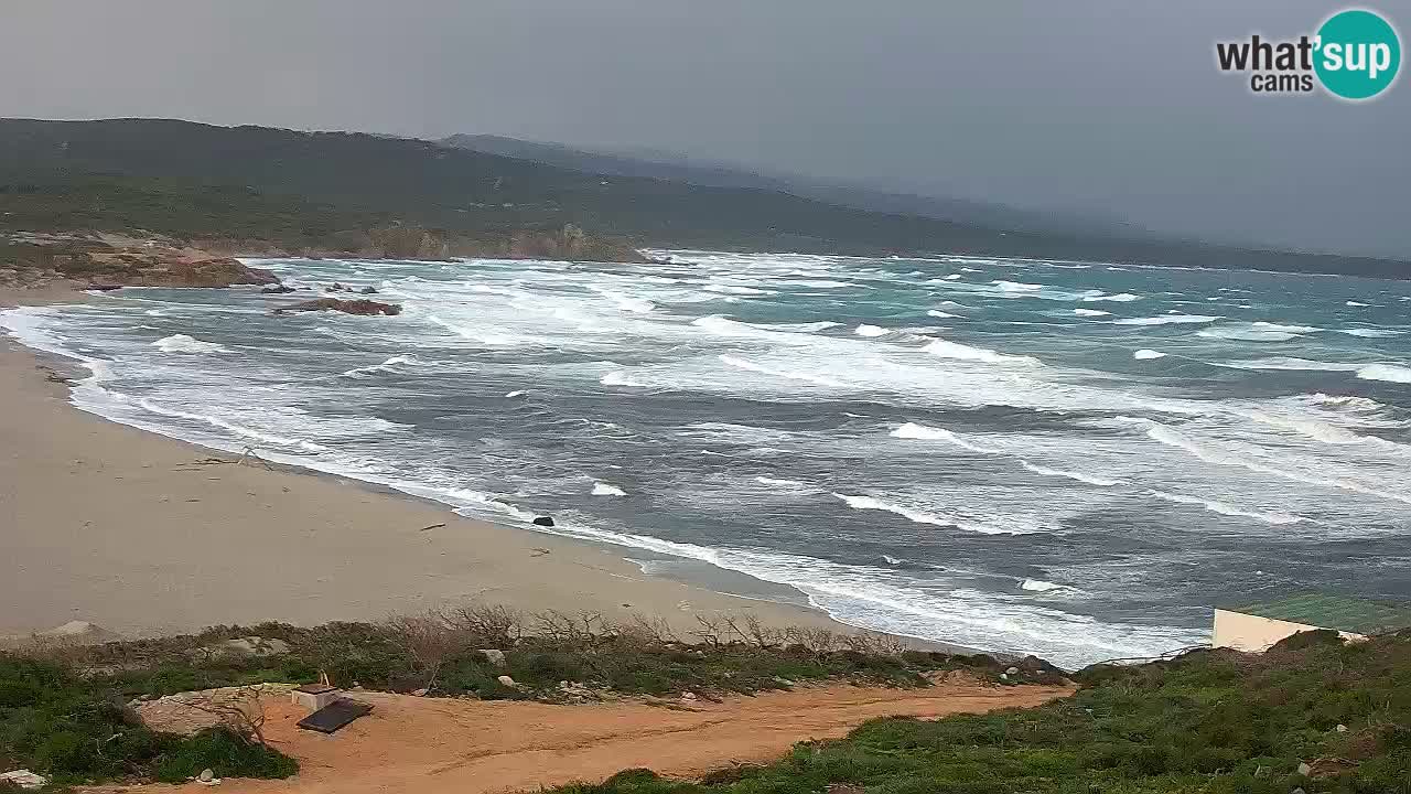 Plaža La Liccia v živo Rena Majore – Santa Teresa Gallura spletna kamera Sardinija