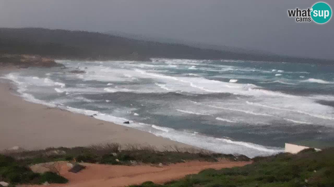 Plaža La Liccia u živo Rena Majore – Santa Teresa Gallura web kamera Sardinija