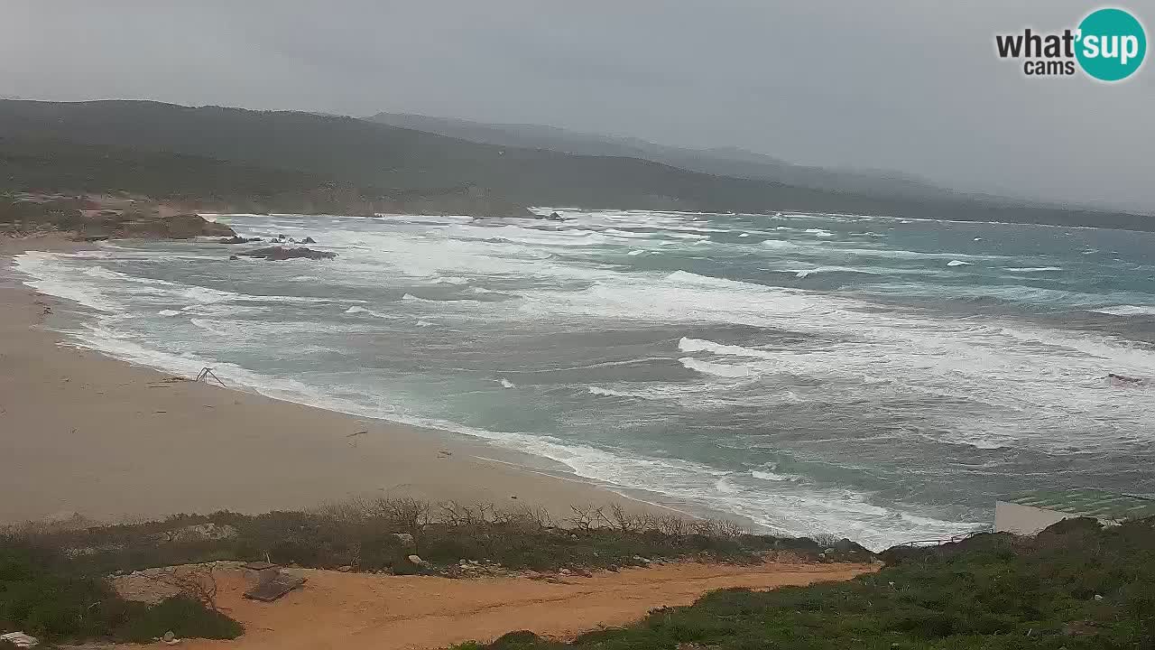 Plaža La Liccia v živo Rena Majore – Santa Teresa Gallura spletna kamera Sardinija