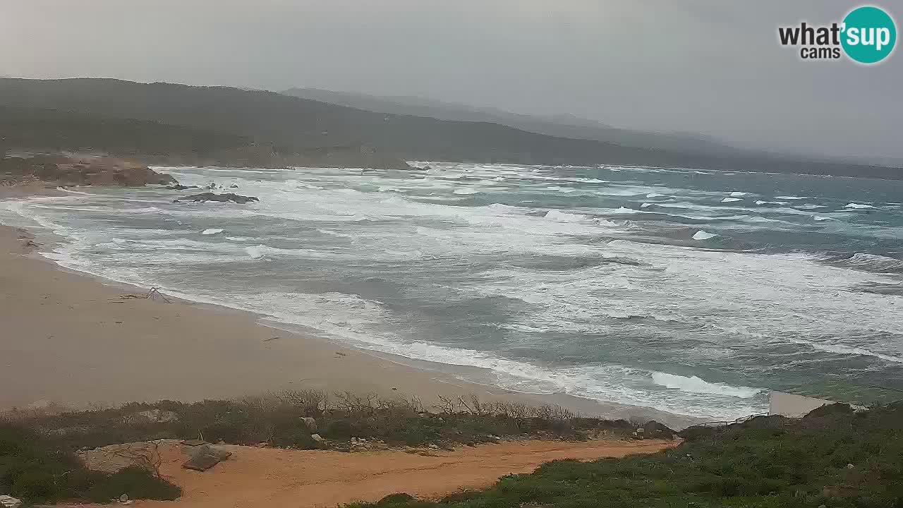 La Liccia playa webcam Rena Majore – Santa Teresa Gallura en vivo Cerdeña