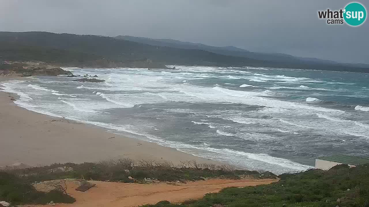 Plaža La Liccia v živo Rena Majore – Santa Teresa Gallura spletna kamera Sardinija