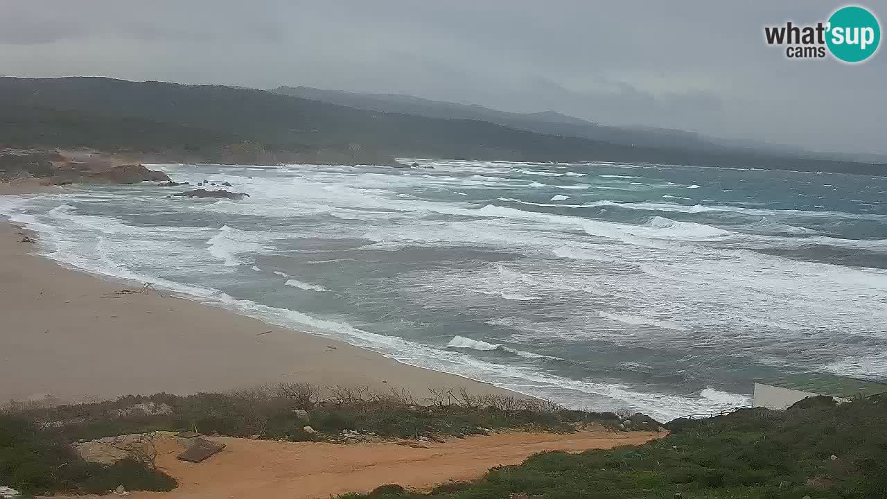 Spiaggia La Liccia webcam Rena Majore – Santa Teresa Gallura livecam Sardegna